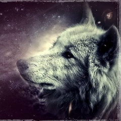 Дмитрий Игнашин, 04.05.1987, Астана