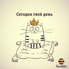 Сергей Котов, 27.08.1988, Москва
