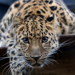 Людмила Бродавец, 04.03, Москва