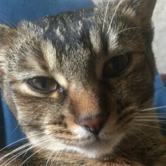 Анна Иванова, 17.02.1988, Санкт-Петербург