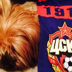 Юрий Плохотников, 28.10, Санкт-Петербург