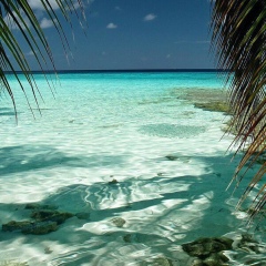 Bekhruz Кадыров, 11.01.1986