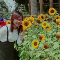 Hay Man, 18.11.1988, Myeik