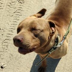 Юрий Бережнов, 17.06.1982, Конаев / Капшагай