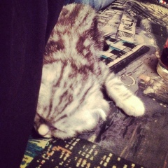 Linar Murtazin, 11.08