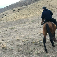 Анатолий Бабаев, 01.03, Дербент