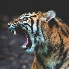 Sebastián Agudelo, 05.10, Bogotá