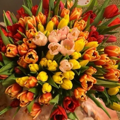 Майя Азимзаде, 11.08.1993, Москва