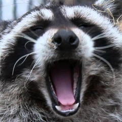 Саня Нагорный, 27.03.1992, Киев