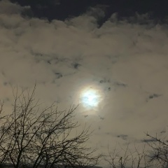 Daria List, 08.10, Москва