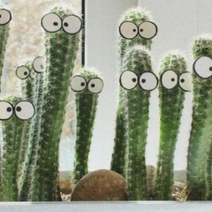 Андрей Абдалин, 28.03, Москва