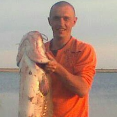 Виталий Верховцев, 23.11