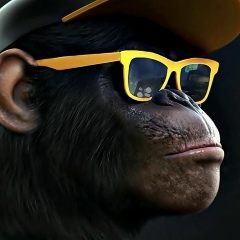 Timon Timonov, Bulawayo