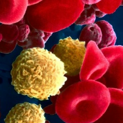 Сёма Гурьев, 22.05, Алматы