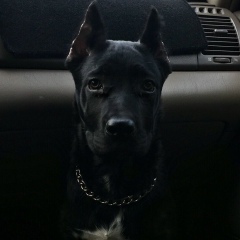 Akbota Baranchinova, 16.01.1990, Алматы