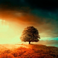 Алексей Кирюхин, 09.09, Рыбинск