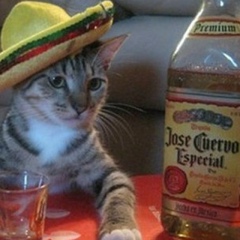 Louis Salazar, 17.10, Los Angeles