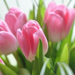 Анна Молодцова, Екатеринбург