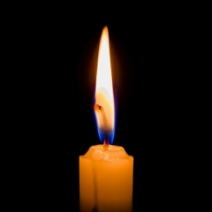 Елена Пихтина, Подюга