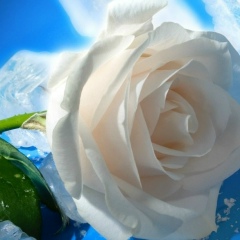 Мария Кенжикаева, 10.08