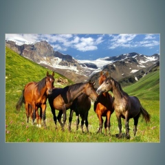 Асанали Нуркен, 13.02.1987