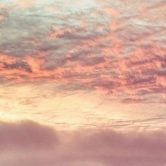 Марианна Залужная, 20.11