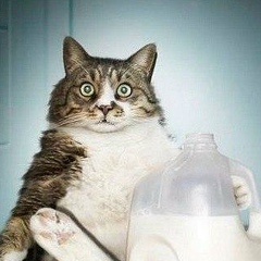 Леонид Головин, 13.07.1978, Санкт-Петербург