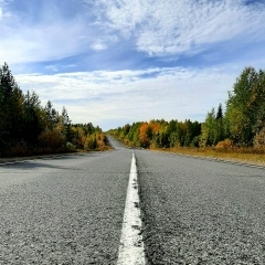 Роман Фомин, 04.07.1983, Сыктывкар