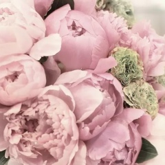 Юля Гаврилова, 30.12, Ярославль