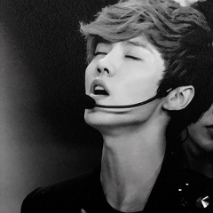 LuHan DeerMeng-Lu, 26.12.1990, Puente Alto