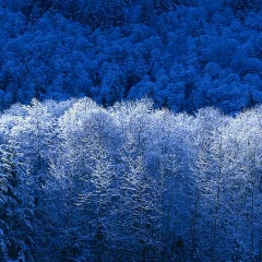 Жибек Исабекова, 25.10.1998, Алматы