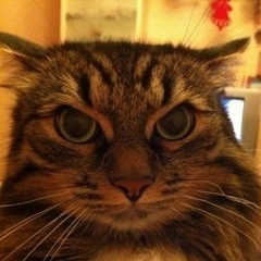 Павел Такмаков, 03.11.1979, Алматы