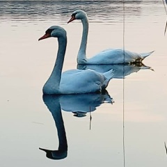 Ирина Лучинина, 01.10, Москва