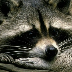 Владимир Евтехов, 28.05.1975, Санкт-Петербург