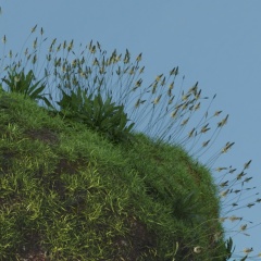 Виталий Копать, 14.03.1982