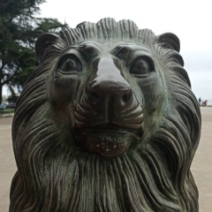 Дмитрий Макаров, 28.11.1990, Санкт-Петербург