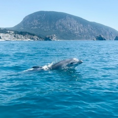 Оля Галян, 12.05.1982