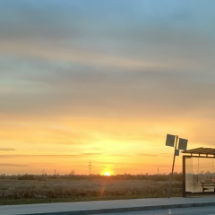 Кирилл Качалов, 22.12, Санкт-Петербург