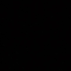 Ратко Младич, Санкт-Петербург