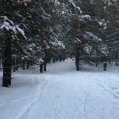 Махамбет Тулешов, 06.05.1985, Астана