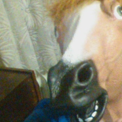 Дмитрий Морозов, 11.10.1992, Москва