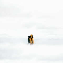 Daulet Tuktabayev, 20.11, Астана