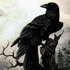 Марина Химера, 15.02.1982, Москва