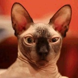 Хаджимурад Гиреев, 04.02.1982, Махачкала