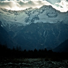 Alan M, 01.10.1993, Москва