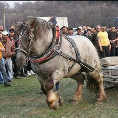 Курамагомед Шигабудинов, 26.11.1970