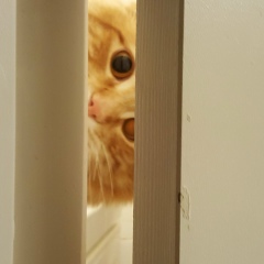 Tessa Vence, 12.06, Москва