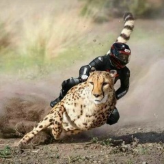 Сурен Календжян, 25.03.1984