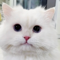 Классная Музыка, 05.09, Санкт-Петербург