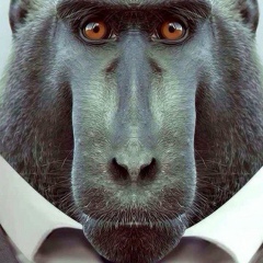 Денис Бжания, 27.04.1987, Amsterdam